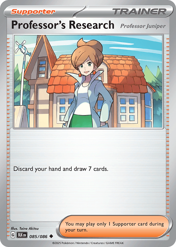 Professor's Research